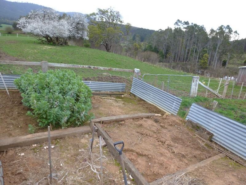 36118 Tasman Highway, Springfield, Scottsdale TAS 7260