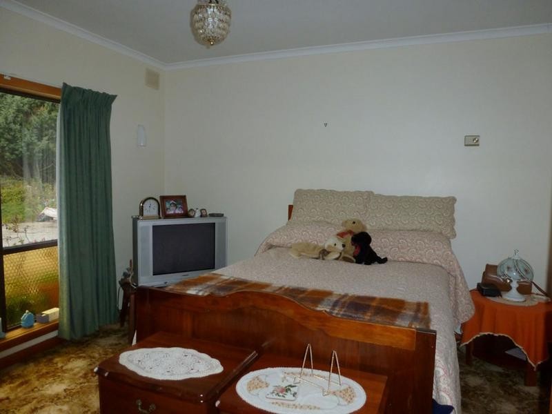 36118 Tasman Highway, Springfield, Scottsdale TAS 7260