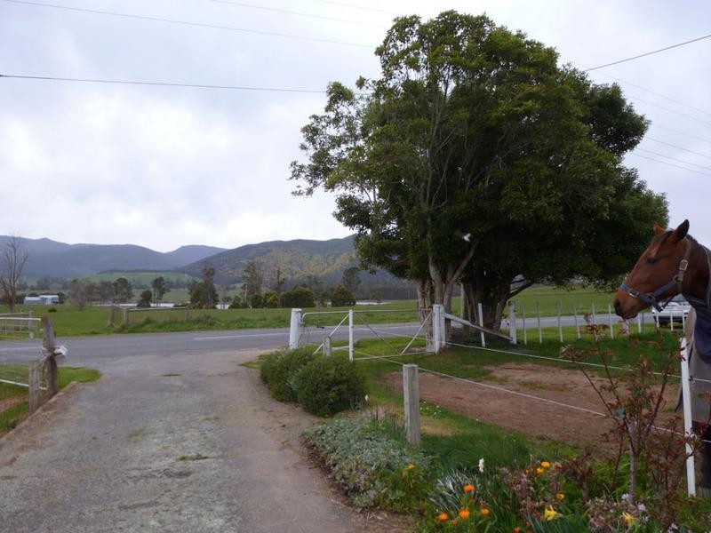 Tasman Highway, Springfield, Scottsdale TAS 7260