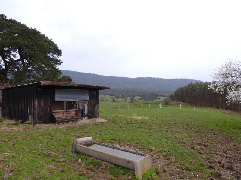 Tasman Highway, Springfield, Scottsdale TAS 7260