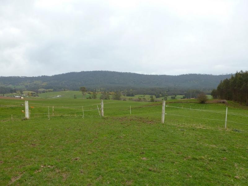 Tasman Highway, Springfield, Scottsdale TAS 7260