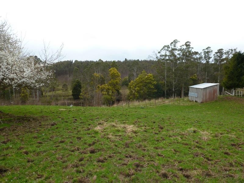 Tasman Highway, Springfield, Scottsdale TAS 7260