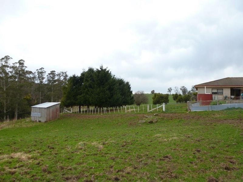 Tasman Highway, Springfield, Scottsdale TAS 7260