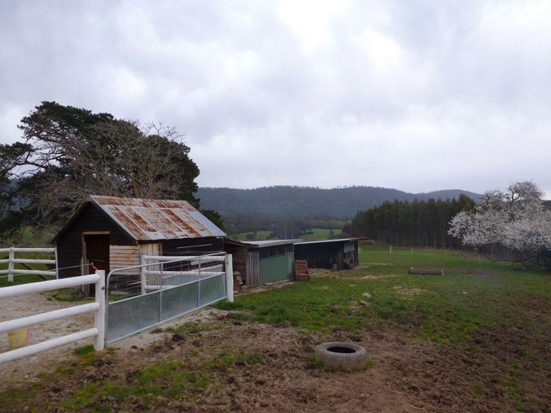 Tasman Highway, Springfield, Scottsdale TAS 7260