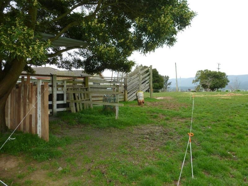 Tasman Highway, Springfield, Scottsdale TAS 7260