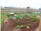 9 Hawks Place, Scottsdale TAS 7260