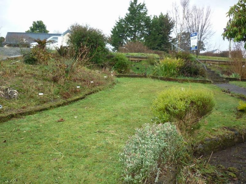 46 Scott Street, Branxholm TAS 7261