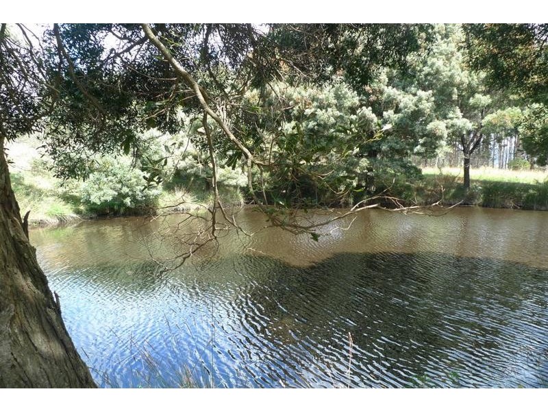 194 Pennells Road, Scottsdale TAS 7260