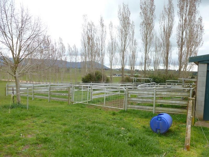 194 Pennells Road, Scottsdale TAS 7260