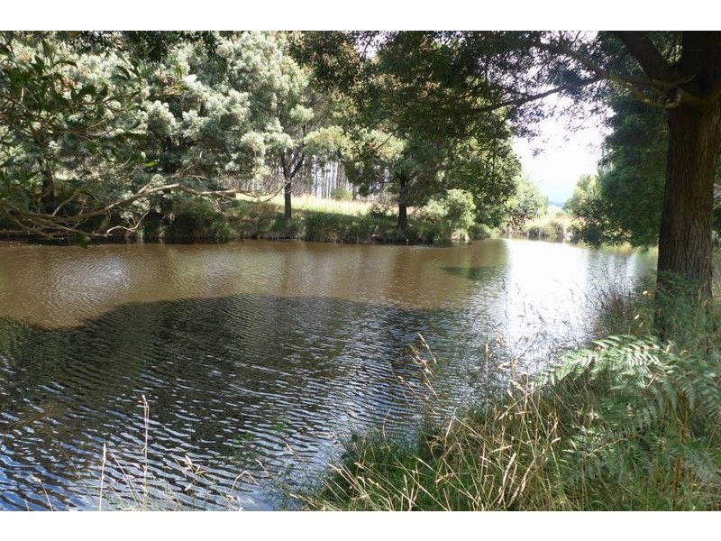 Pennells Road Springfield, Scottsdale TAS 7260