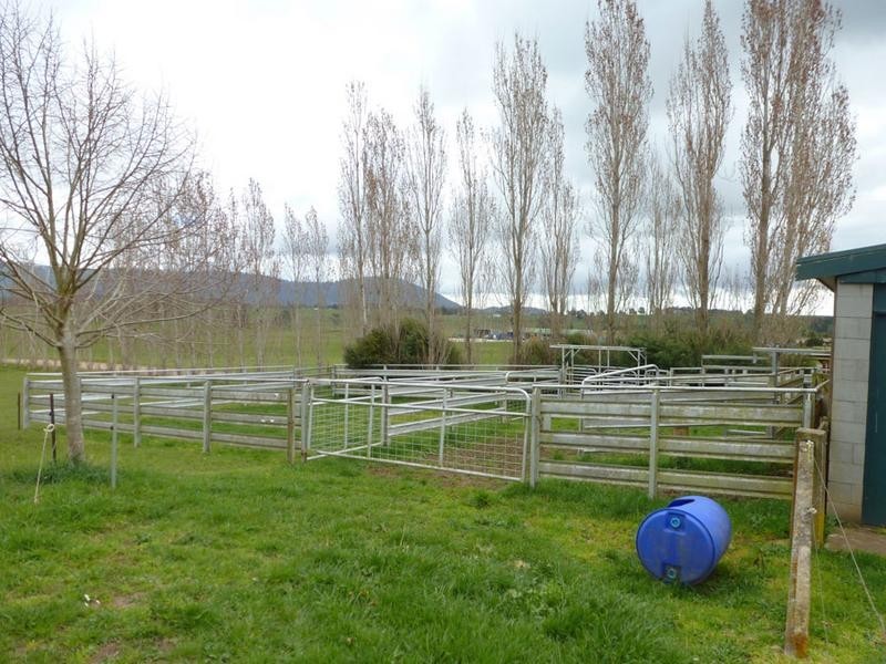 Pennells Road Springfield, Scottsdale TAS 7260