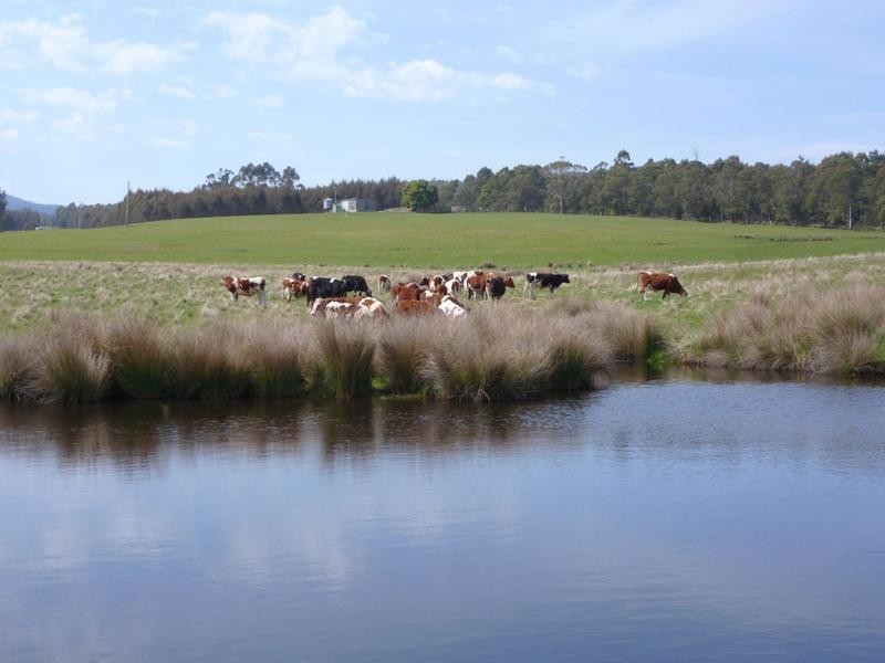 1152 Forester Road, Forester, Scottsdale TAS 7260