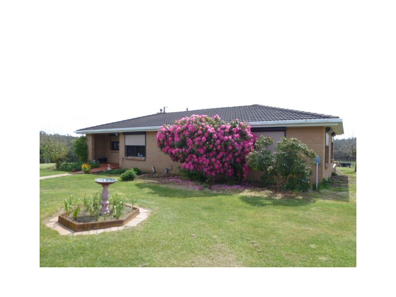 1152 Forester Road, Forester, Scottsdale TAS 7260