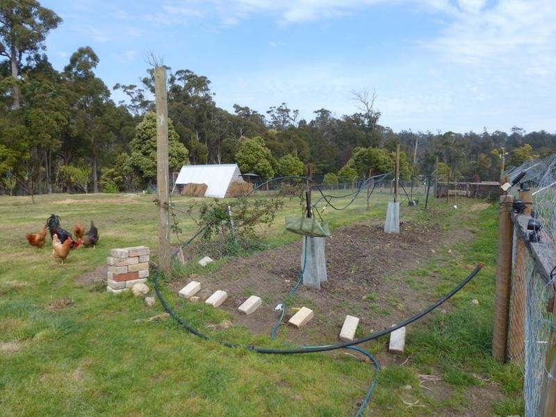 1152 Forester Road, Forester, Scottsdale TAS 7260