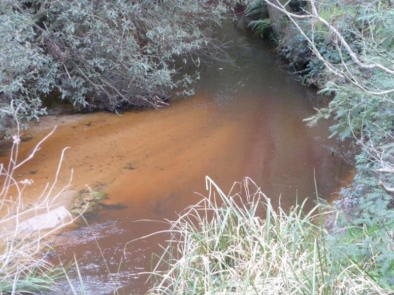 1152 Forester Road, Forester, Scottsdale TAS 7260