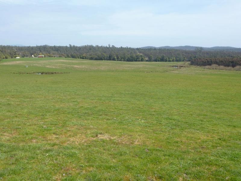 Forester Road, Forester, Scottsdale TAS 7260