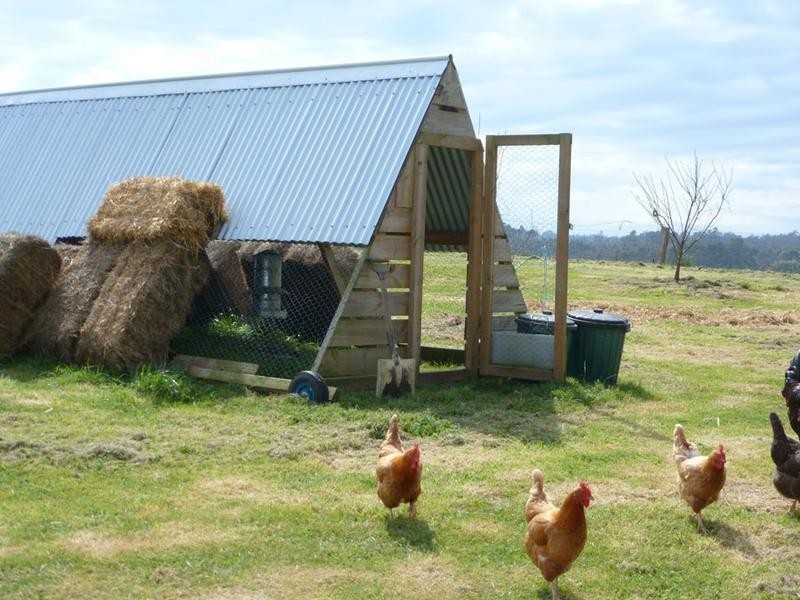 Forester Road, Forester, Scottsdale TAS 7260