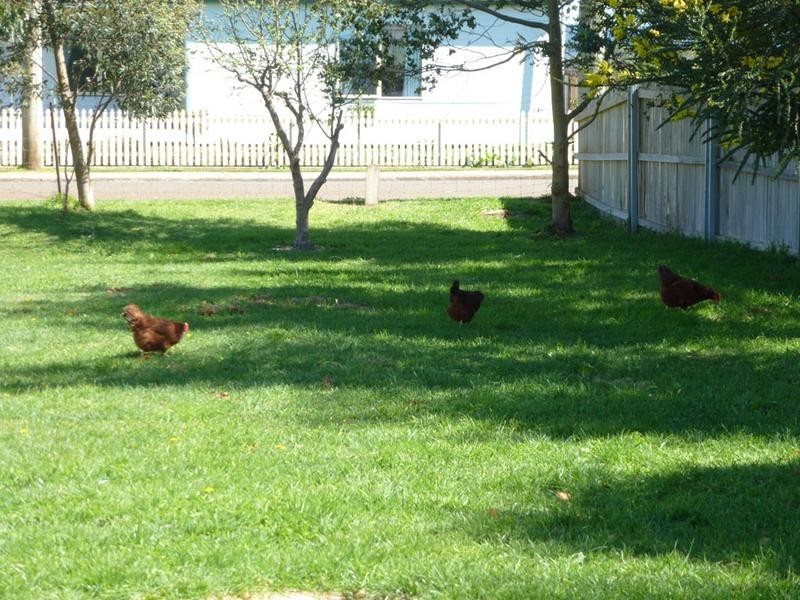 16 Ruby Flats Road, Ringarooma TAS 7263