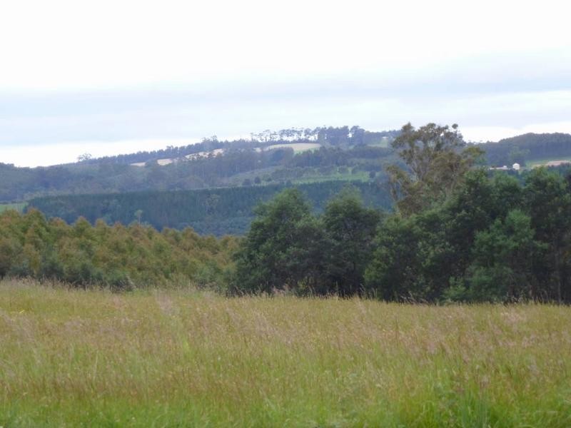 51 Scott Street, Branxholm TAS 7261
