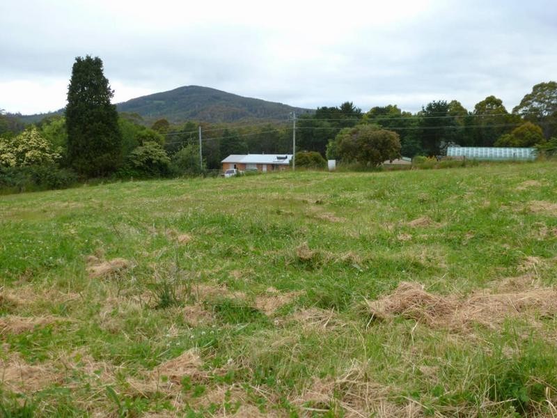 51 Scott Street, Branxholm TAS 7261