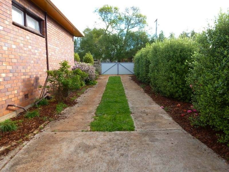 8 Ethel Street, Scottsdale TAS 7260