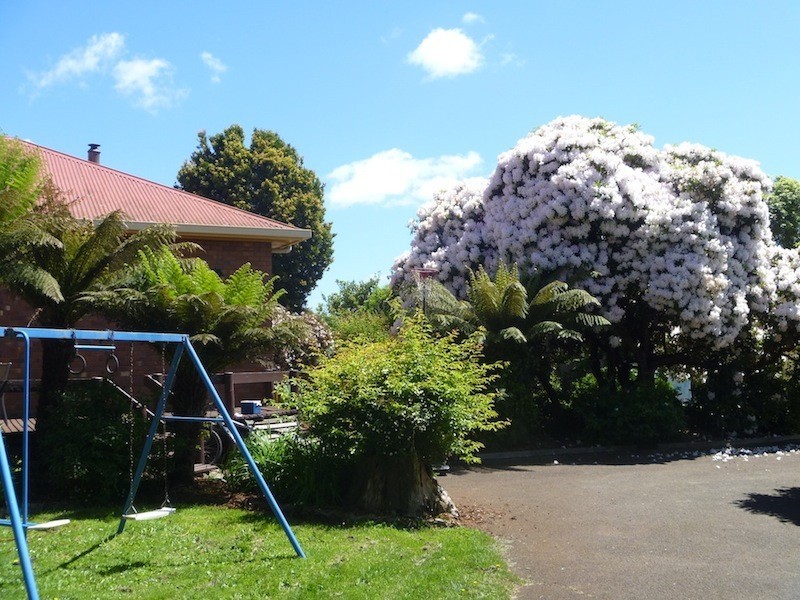 8 Ethel Street, Scottsdale TAS 7260