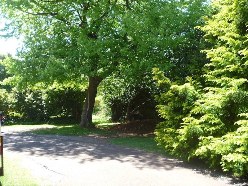 8 Ethel Street, Scottsdale TAS 7260