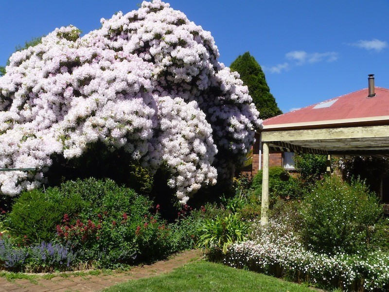 8 Ethel Street, Scottsdale TAS 7260