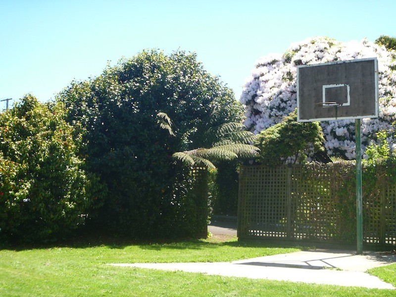 8 Ethel Street, Scottsdale TAS 7260