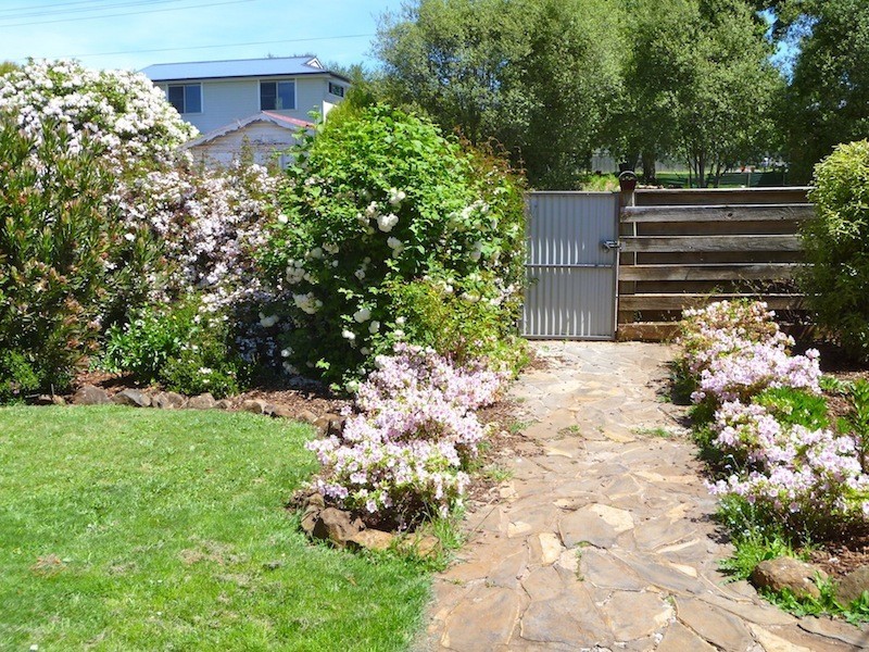 8 Ethel Street, Scottsdale TAS 7260