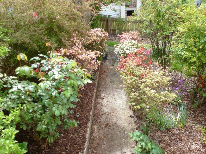 68 King Street, Scottsdale TAS 7260