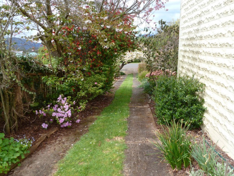 68 King Street, Scottsdale TAS 7260