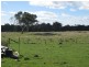 18 CARR Street, Gladstone TAS 7264