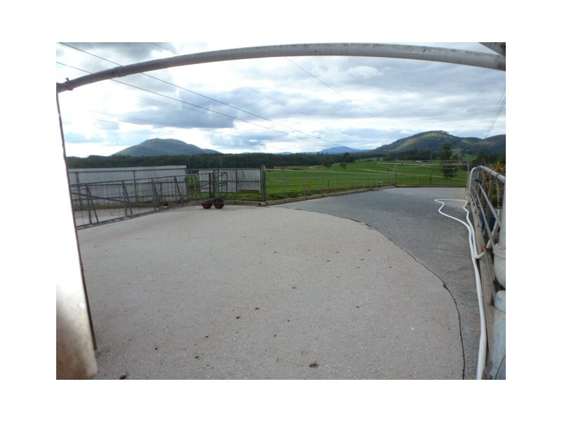 310 MacKenzie Valley Road, Cuckoo, Scottsdale TAS 7260