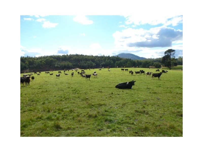 310 MacKenzie Valley Road, Cuckoo, Scottsdale TAS 7260