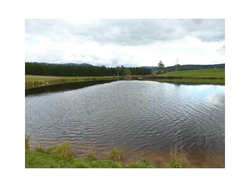 310 MacKenzie Valley Road, Cuckoo, Scottsdale TAS 7260