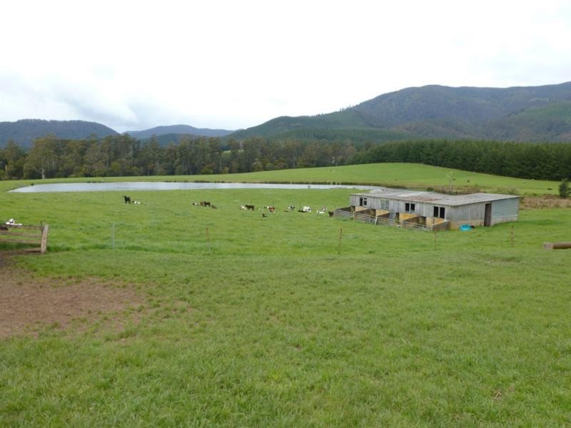 310 MacKenzie Valley Road, Cuckoo, Scottsdale TAS 7260