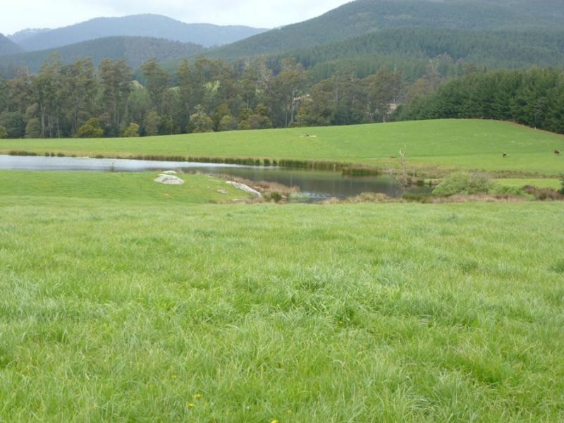 310 MacKenzie Valley Road, Cuckoo, Scottsdale TAS 7260