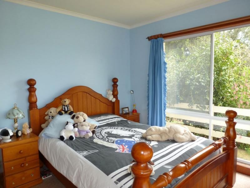 310 MacKenzie Valley Road, Cuckoo, Scottsdale TAS 7260