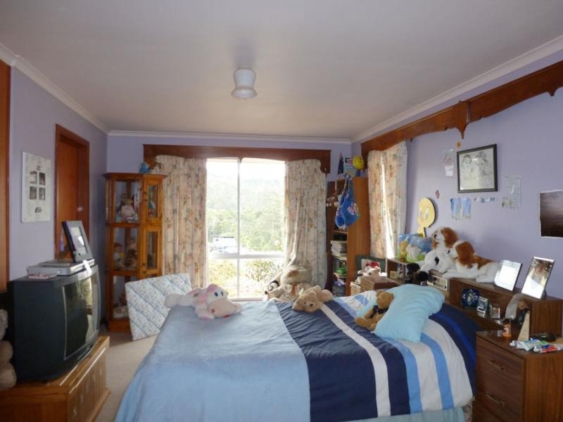 310 MacKenzie Valley Road, Cuckoo, Scottsdale TAS 7260