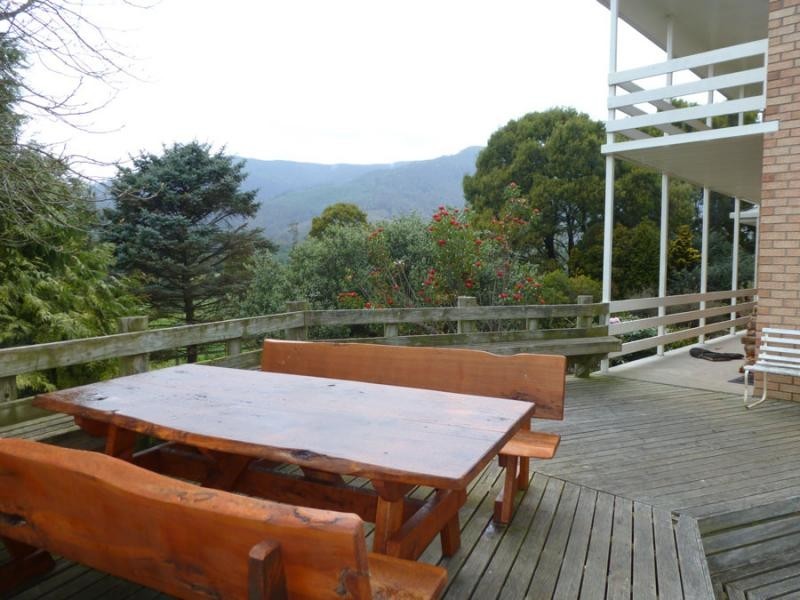 310 MacKenzie Valley Road, Cuckoo, Scottsdale TAS 7260