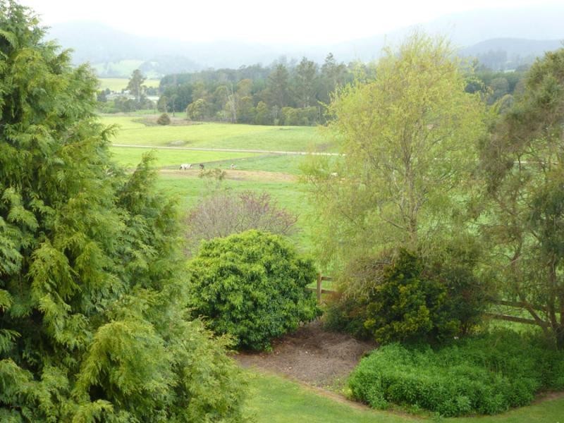 310 MacKenzie Valley Road, Cuckoo, Scottsdale TAS 7260