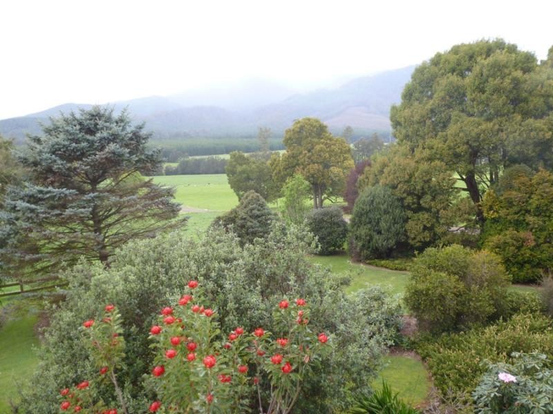 310 MacKenzie Valley Road, Cuckoo, Scottsdale TAS 7260