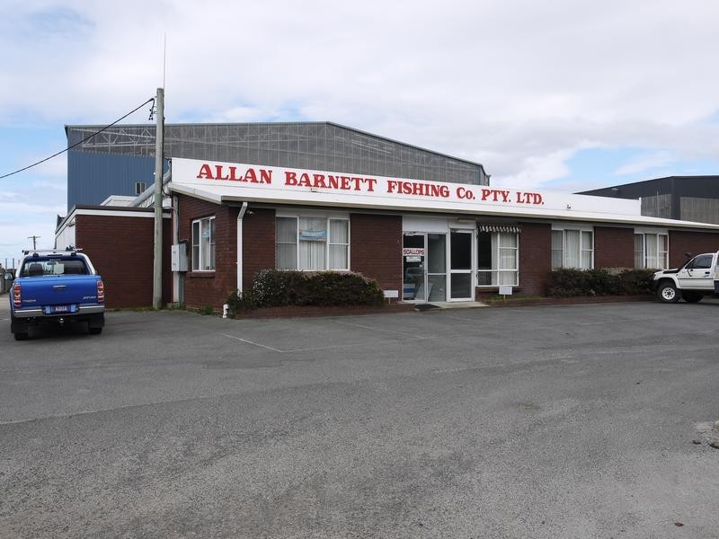 . Main Street, Bridport TAS 7262