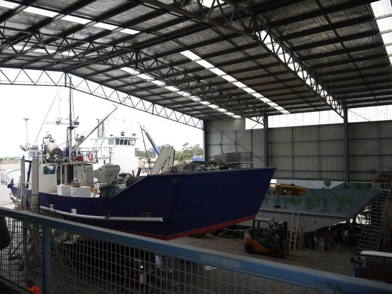 . Main Street, Bridport TAS 7262