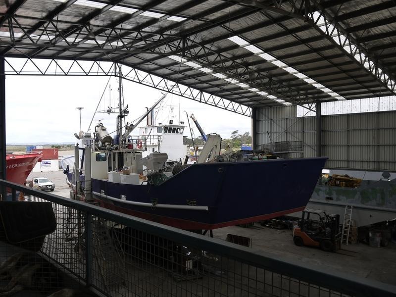 . Main Street, Bridport TAS 7262