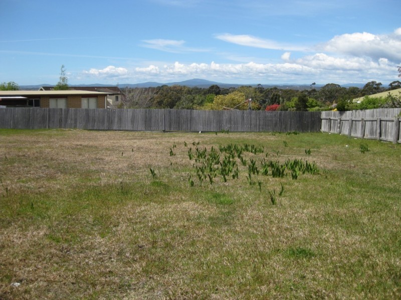 43 Elizabeth Street, Bridport TAS 7262