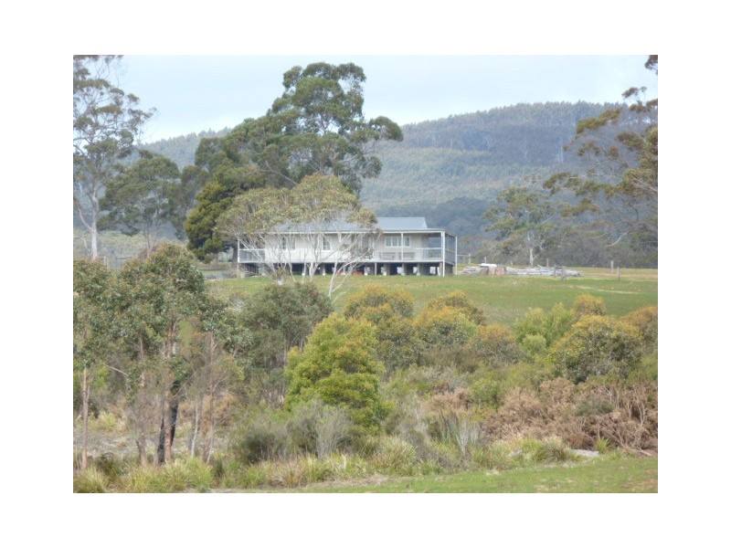 Old Waterhouse Road, Scottsdale TAS 7260