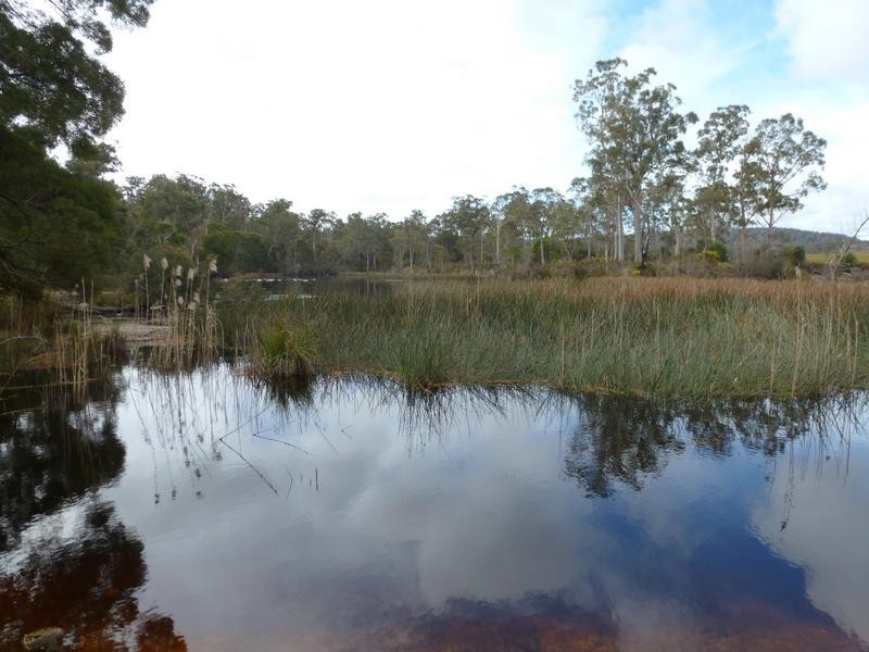 Old Waterhouse Road, Scottsdale TAS 7260