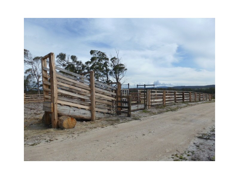 Old Waterhouse Road, Scottsdale TAS 7260